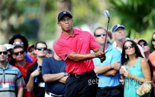 (GettyImages)/멀티비츠