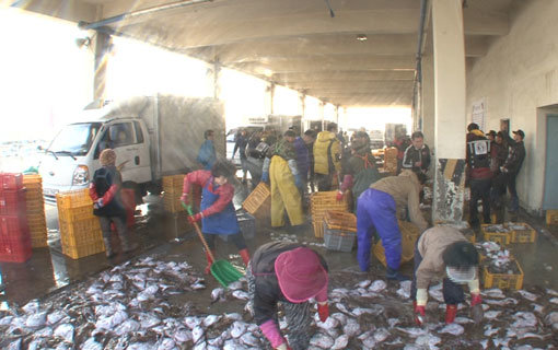 사진제공｜채널A