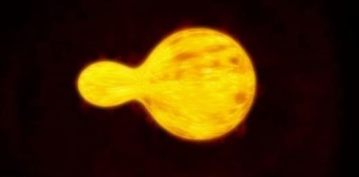 출처= 영국 데일리메일