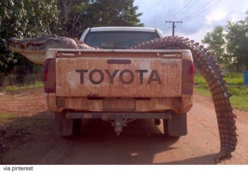 사진=온라인 커뮤니티 캡쳐