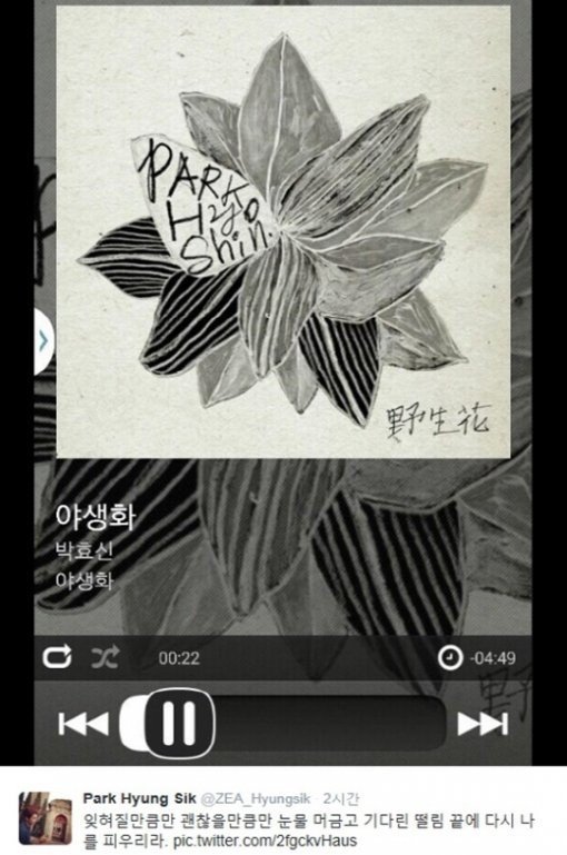 박효신 야생화. 사진=박형식 트위터