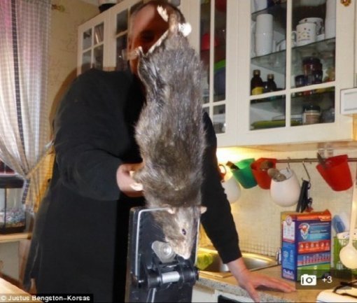 출처= 영국 데일리메일