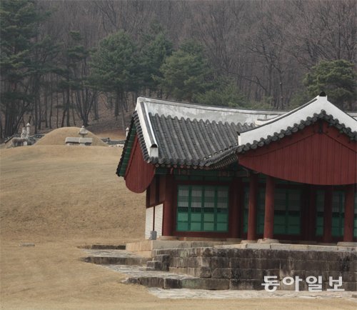 경기 양주시 장흥면에 있는 단경왕후의 온릉과 정자각. 아직은 누렇지만 우기엔 한 달에 몇 번씩 깎아줘야 할 정도로 잔디가 쑥쑥 자란다. 양주=정양환 기자 ray@donga.com