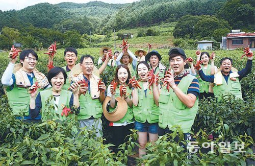 한국자산관리공사(캠코) 임직원들이 1사 1촌 자매결연 마을인 경기 가평군 두밀리 마을에서 봉사활동을 하며 수확한 고추를 들고 활짝 웃고 있다. 한국자산관리공사 제공