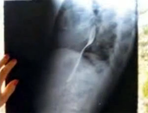 사진=동아닷컴 온세상