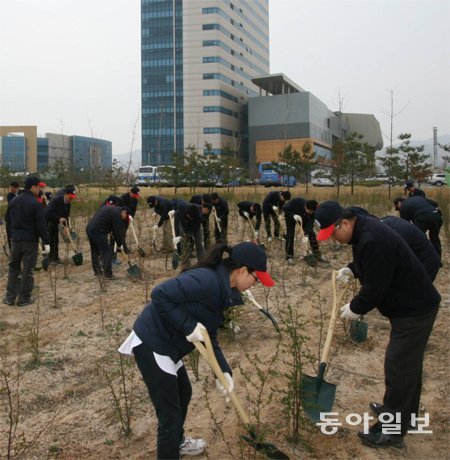 3일 개성공단 정·배수장 인근에서 식목일(5일)을 앞두고 나무 심기가 진행됐다. 이번 식수 행사는 박근혜 정부가 출범한 뒤 처음으로 이뤄진 북한 산림녹화 지원 사업이다. 총 7000그루의 묘목이 지원됐다. 통일부 제공