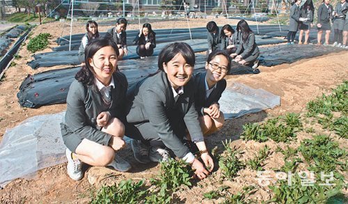 7일 세자매 결연을 맺은 충남여고 2학년 김채은, 3학년 서보인, 1학년 김진아 양(왼쪽부터)이 결연을 맺은 뒤 학교 뒷동산 텃밭에서 채소를 가꾸고 있다. 뒤편에도 세자매 결연을 한 학생들이 보인다. 이기진 기자 doyoce@donga.com