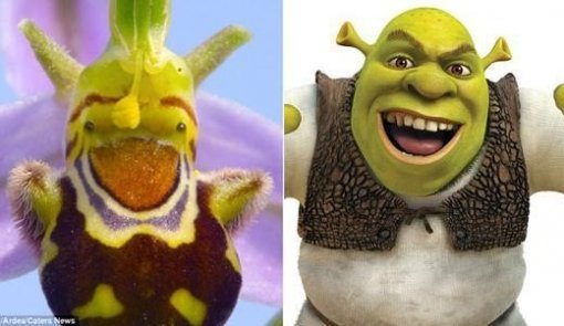 사진=데일리메일 캡쳐