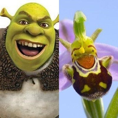 사진=온라인커뮤니티