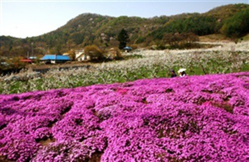 사진= 농림축산식품부 제공