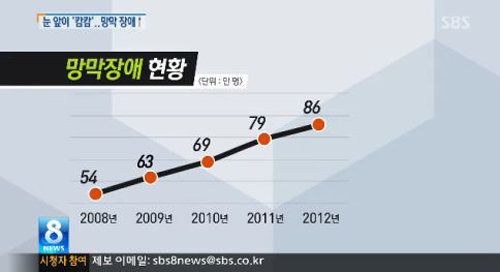 망막장애 환자 급증. 사진 = SBS 뉴스 화면 촬영