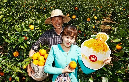 (사진=할리스커피 제공)