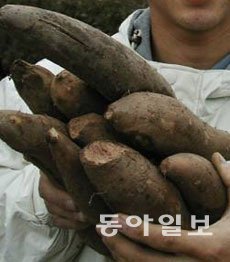 동아일보 자료 사진.