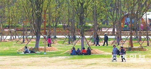 15일 부산시민공원에 나무를 기증한 사람들이 공원을 둘러보며 산책을 하거나 쉬고 있다. 17일엔 일반 시민들을 상대로 문을 연다. 서영수 기자 kuki@donga.com