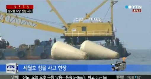 출처= YTN 뉴스 영상 갈무리