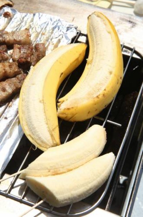 바나나 전염병. 동아일보DB