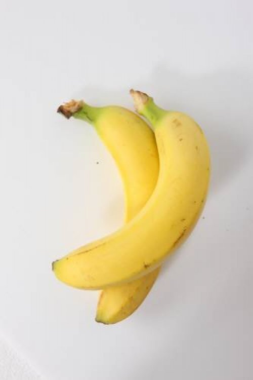 출처= 동아일보 DB