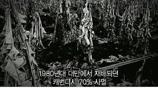 출처= 지식채널e 영상 갈무리