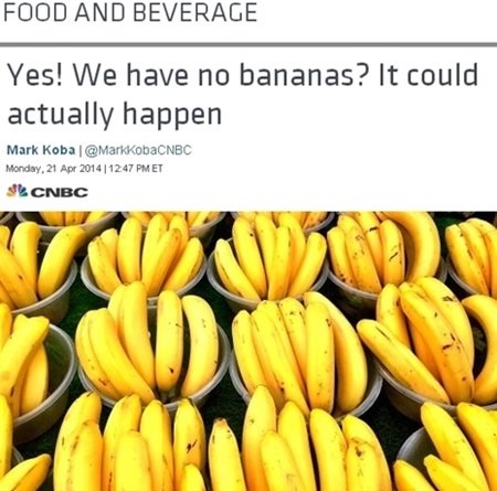 사진=CNBC 홈페이지 캡쳐