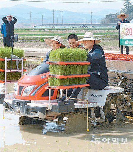 벼 조기 재배를 위한 모내기가 15일 경남 창녕군에서 진행됐다. 벼 2기작은 조기 재배용 벼를 수확한 뒤 곧바로 모를 심어 10월에 수확하는 방식이다. 경남도 제공