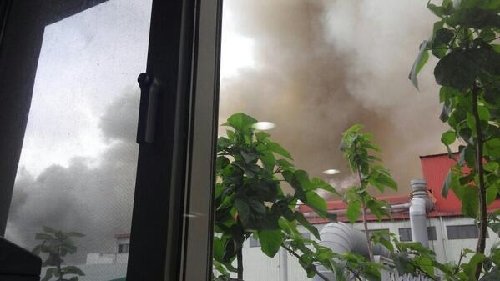 출처= 트위터리안 @zike_dot 제공