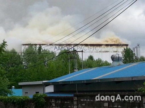 출처= 동아닷컴 DB