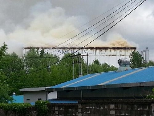 사진= 트위터리안 @Aeacides 제공