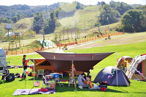 휘닉스 파크 ‘웰니스 캠핑 카니발’에서 여유롭게 캠핑의 즐거움을 만끽하고 있는 가족들. 바비큐 파티와 같은 캠핑의 재미와 함께 숲 해설 트레킹 같은 힐링 프로그램도 즐길 수 있다. 사진제공｜휘닉스 파크