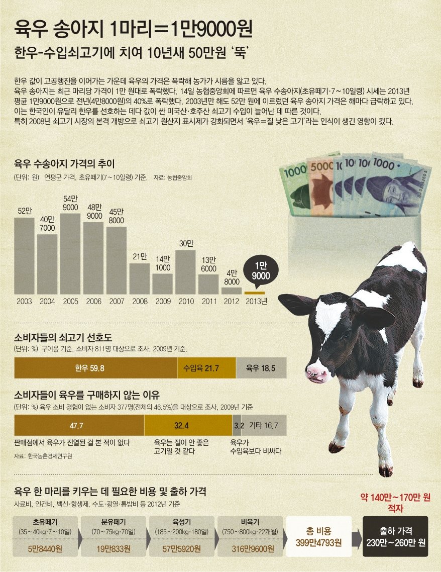 11년전 52만원 육우 송아지, 1만원대로 폭락 : 뉴스 : 동아일보