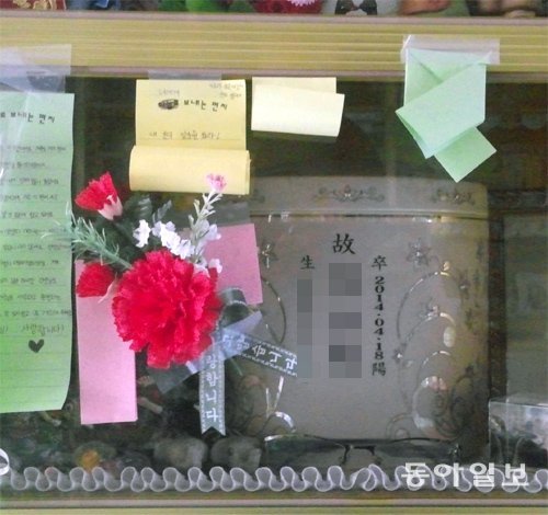 경기 화성시 효원납골공원에 안치된 안산 단원고 교사의 유골함. 단원고 학생들이 ‘스승의 날’을 하루 앞둔 14일 이곳을 방문해 카네이션과 편지를 남겼다. 홍정수 기자 hong@donga.com