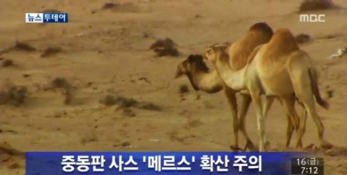 메르스 확산 공포 (출처= MBC 보도 영상 갈무리)