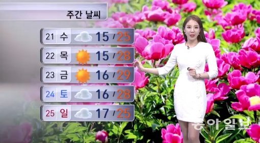 채널A 화면 캡처