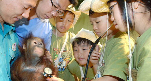 삼성에버랜드 ‘동물사랑단’ 어린이들이 수의사와 함께 청진기를 통해 아기 오랑우탄의 심장소리를 들어보고 있다. 삼성에버랜드 제공