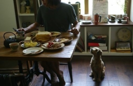 이효리 블로그 개설