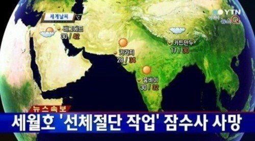 출처= YTN 뉴스 영상 갈무리