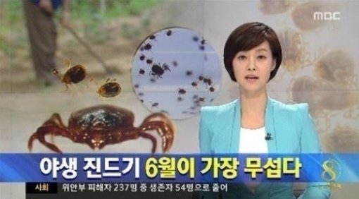 야생 진드기 주의 (출처= MBC 보도 영상 갈무리)