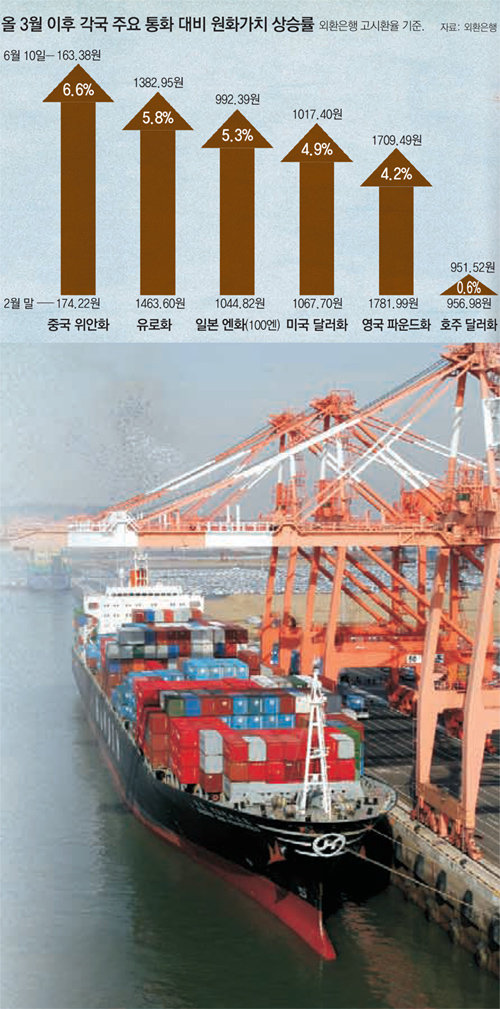 환율의 덫에 걸린 한국