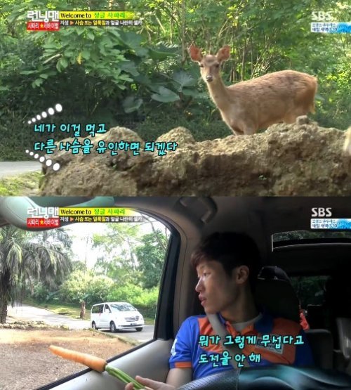 박지성 사슴
사진= SBS 예능프로그램 ‘일요일이 좋다-런닝맨’ 화면 촬영