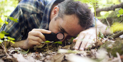 생물학자인 데이비드 조지 해스컬 교수가 숲 바닥에서 자란 식물을 자세히 살펴보고 있다. 그는 1㎥의 작은 숲 공간을 1년간 관찰하며 아무리 평범한 곳이라도 관심을 기울이면 경이로운 곳이 될 수 있다는 것을 깨달았다고 한다. 에이도스 제공
