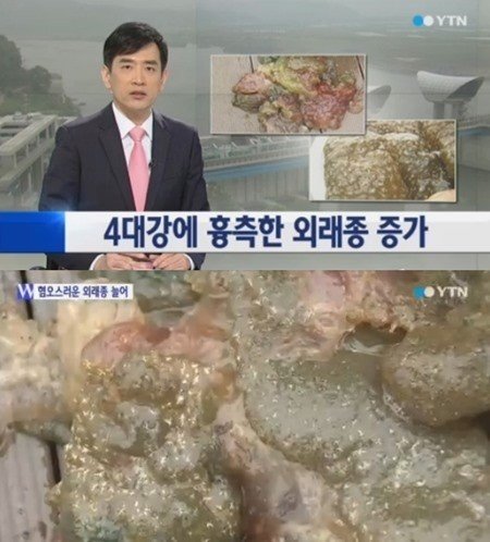 출처= YTN 뉴스 영상 갈무리