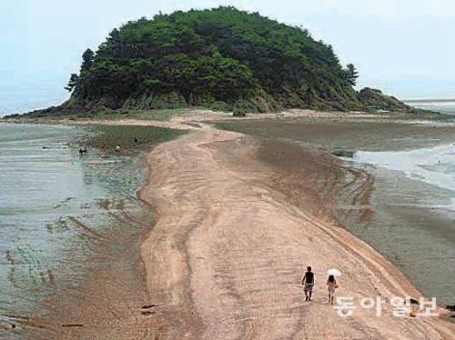 출처= 동아일보DB