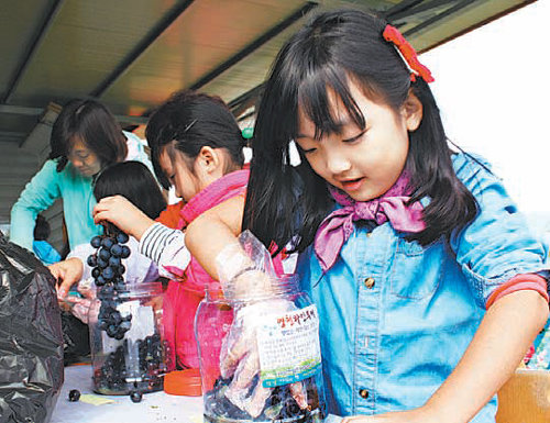 지난해 영천 와인투어에 참가한 어린이들이 와인용 포도를 발효 용기에 담고 있다. 영천시 제공