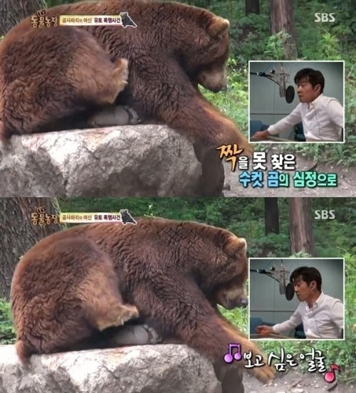 동물농장 김상중, SBS TV 동물농장 화면 촬영