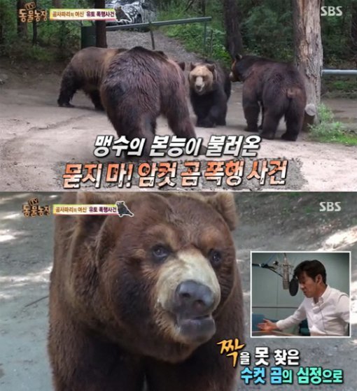 SBS '동물농장' 방송 캡처