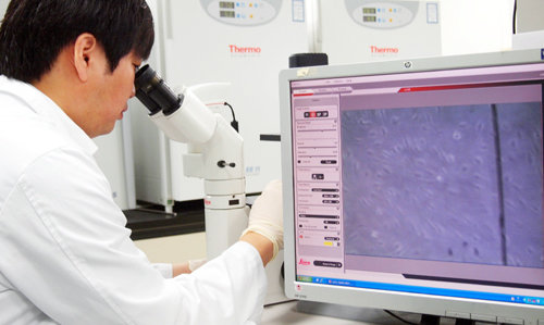 연세사랑병원 연구원이 세포치료연구소에서 현미경을 통해 줄기세포를 관찰하고 있다. 연세사랑병원 제공