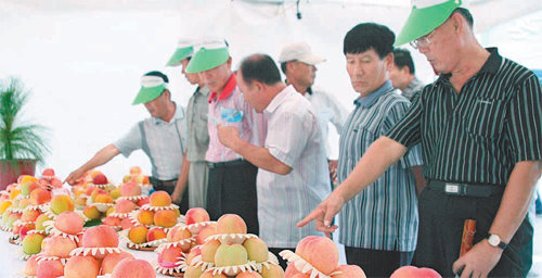 포도와 복숭아를 주제로 한 축제가 25∼27일 충북 옥천에서 열린다. ‘왕의 온천’ 수안보에서는 지역 특산품인 대학찰옥수수를 주제로 한 한마당 잔치가 펼쳐진다. 충주시·옥천군 제공