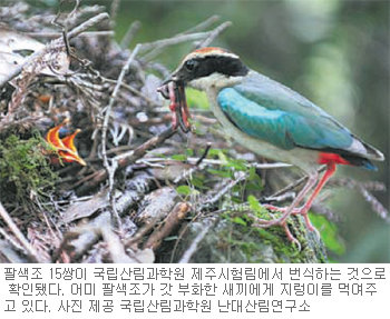 출처= 동아일보DB