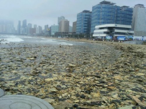 해운대 폐목재 사진= 부산 해운대구