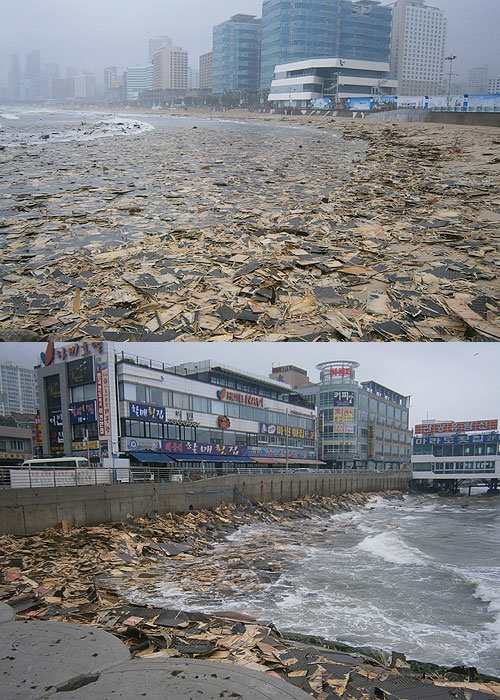 사진= 해운대구청 제공