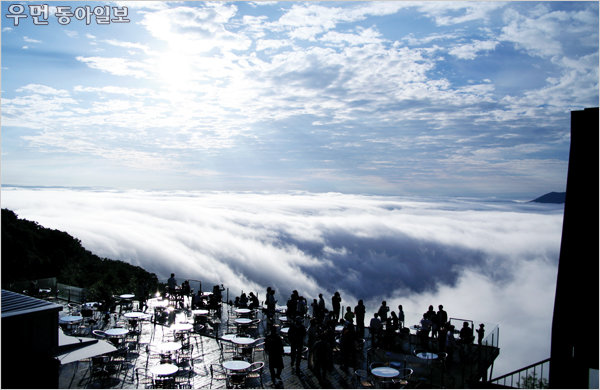 토마무 산에서만 볼 수 있는 구름 융단 운카이 테라스.